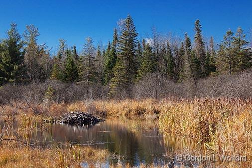 GORDON WOLFORD PHOTOGRAPHY Ontario Eastern Ontario Autumn Scenes Beaver Lodge